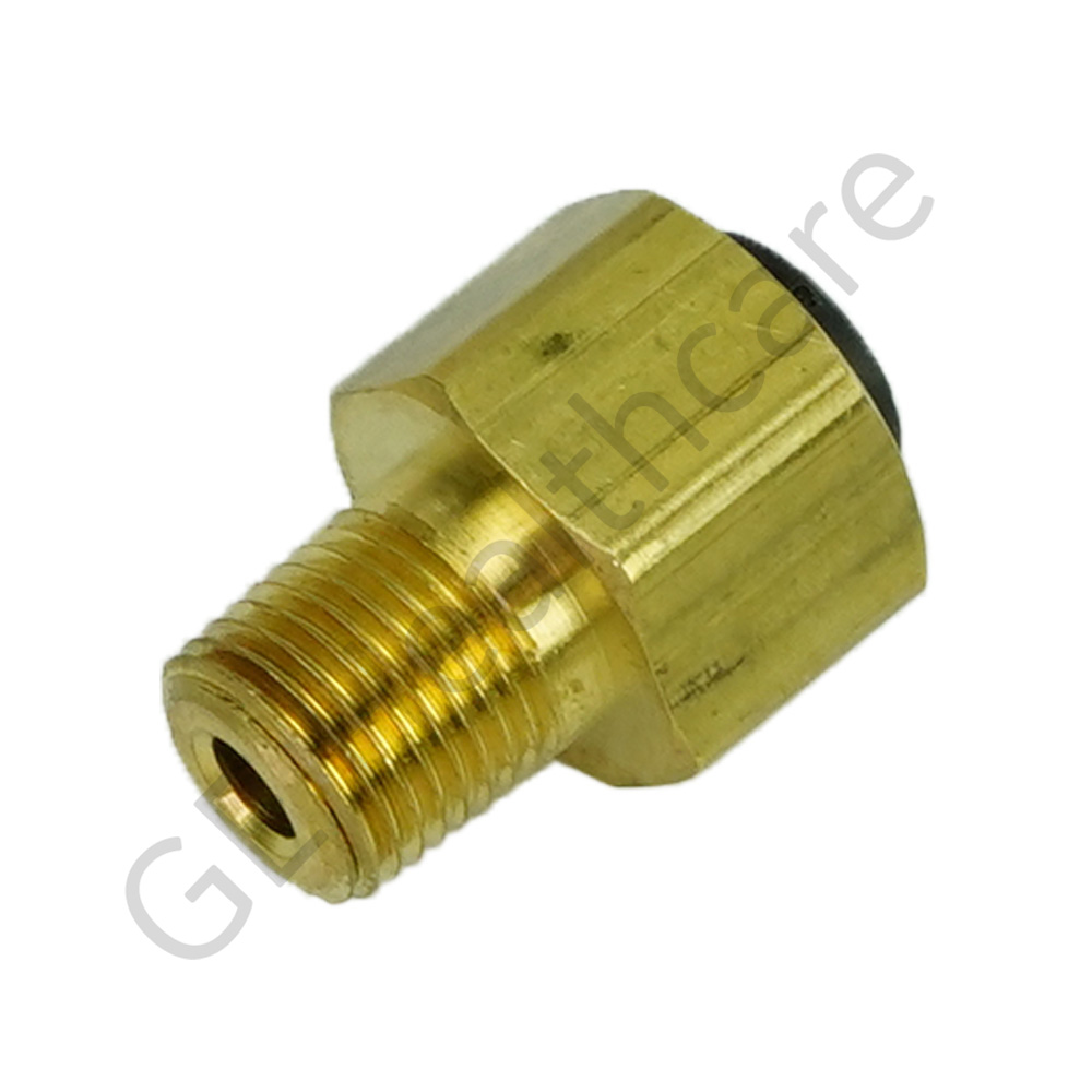Adapter Assembly 1/8NPT to 6mm Carstick Cavity